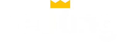 BetKing Mobile Logo